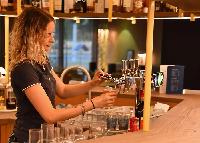 Ibis Styles Nantes Aéroport 3* Rezé